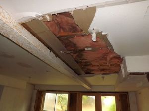 Hole in the ceiling...