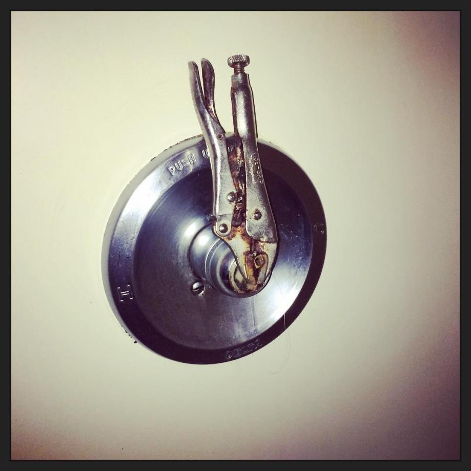 12568185_889322351182094_2041723597_n