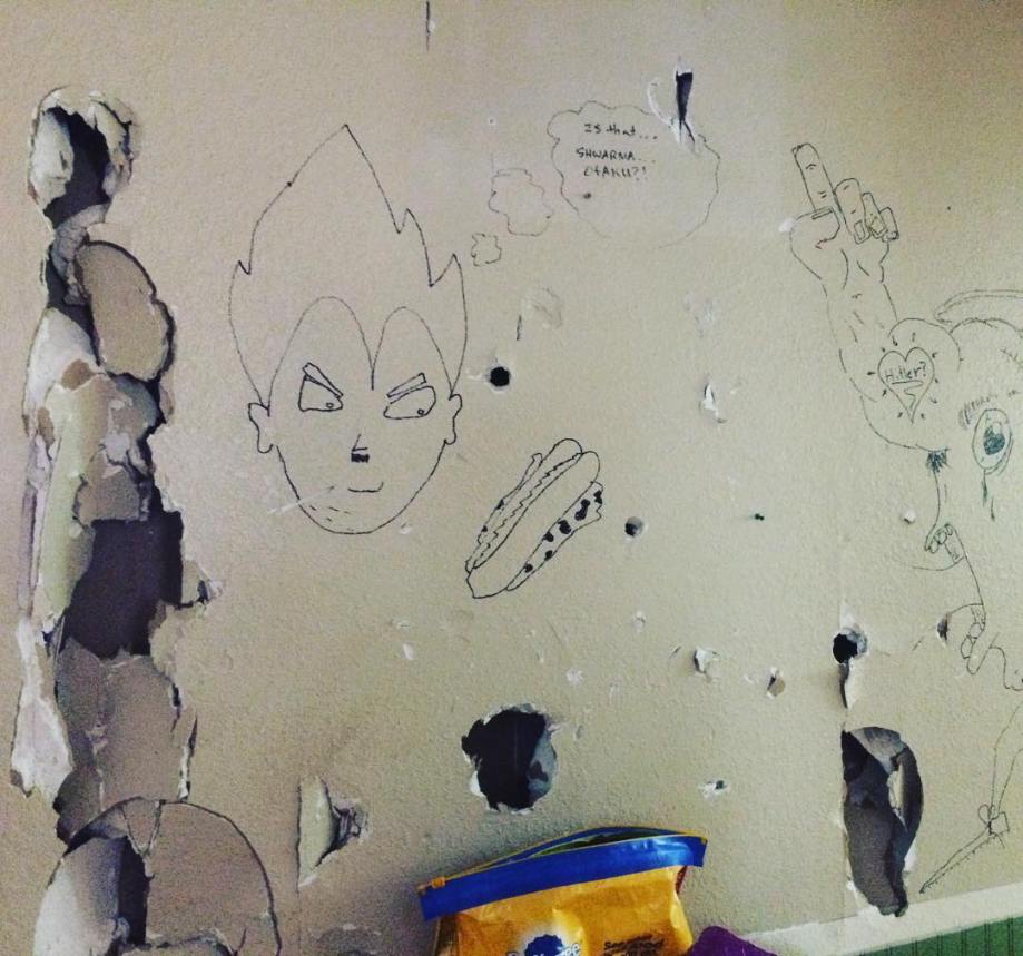 12818890_1568006306824581_2136489765_n